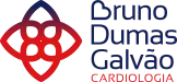 Bruno Dumas Galvão logo